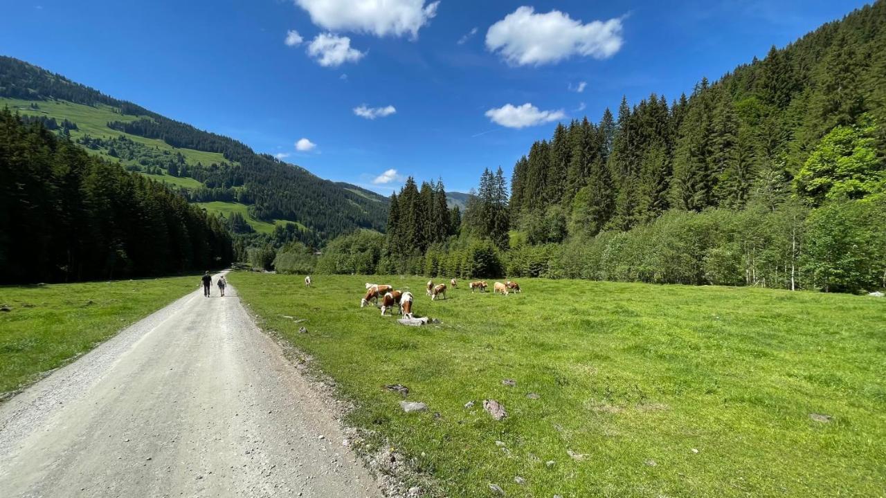 Haizelrock Kirchberg in Tirol Exterior photo